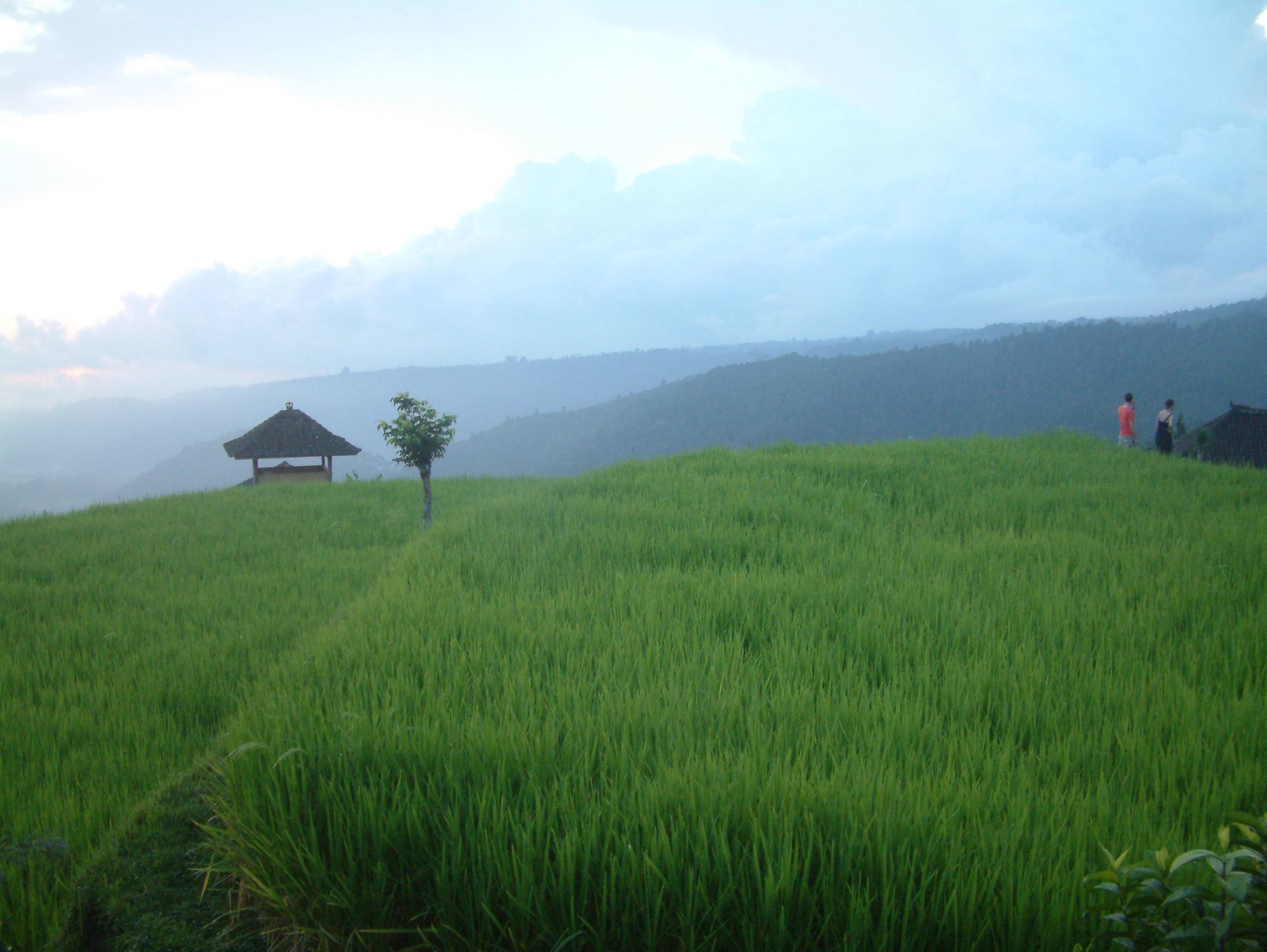 Puri Lumbung Cottages Gobleg  Exterior photo