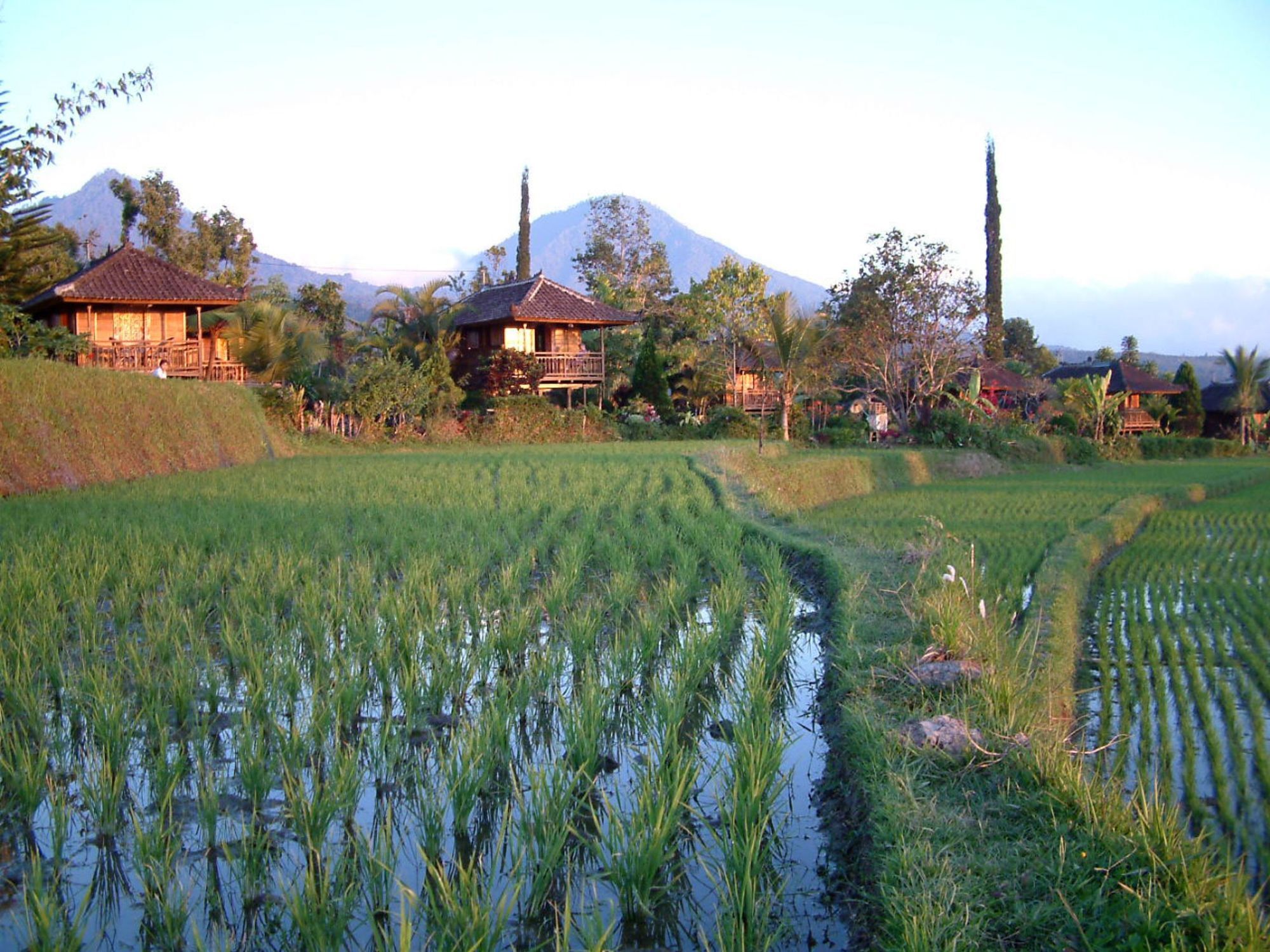 Puri Lumbung Cottages Gobleg  Exterior photo