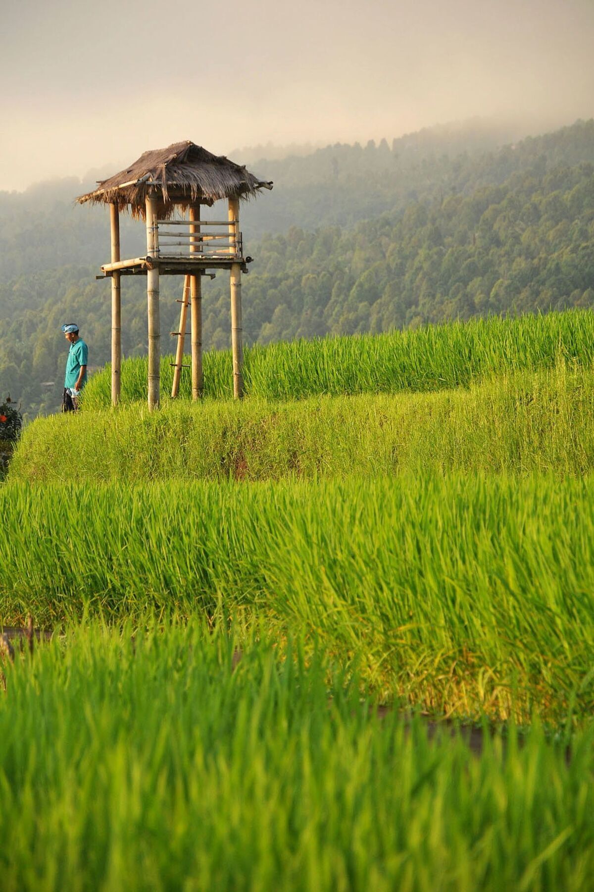 Puri Lumbung Cottages Gobleg  Exterior photo